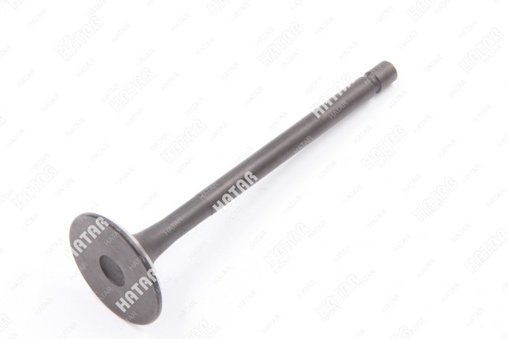 OEM GENUINE (JAPAN) Kлапан выпускной 4hf1 8970604150