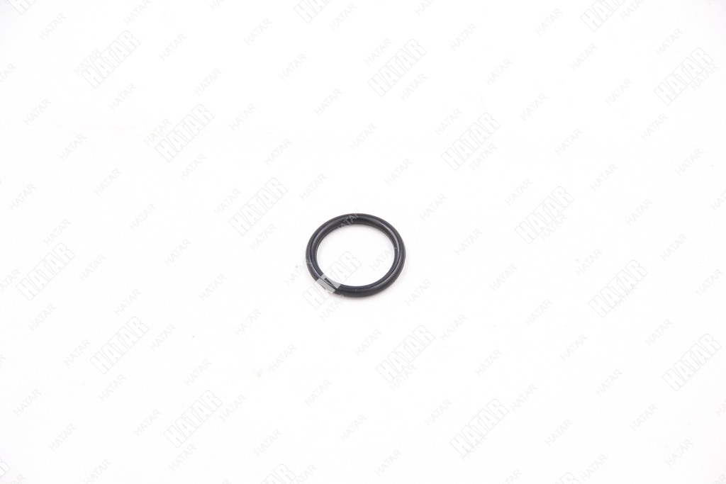 NISSAN Кольцо резиновое 118126N200