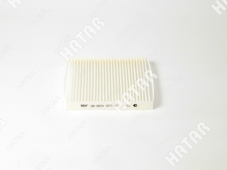 BIG FILTER Фильтр салонный big GB9970