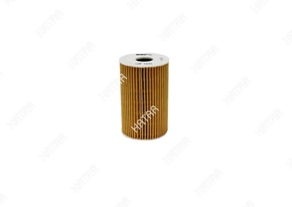 BIG FILTER Вставка масляная big GB1435