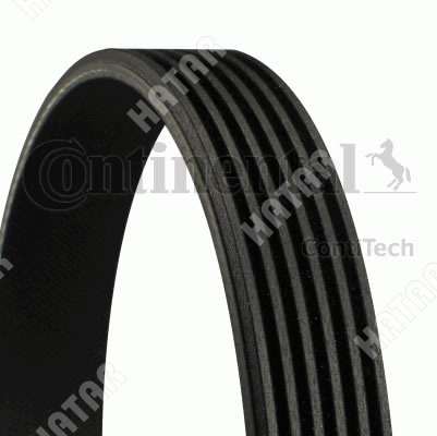 CONTITECH Ремень поликлиновый 6PK1580