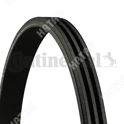 CONTITECH Ремень поликлиновый 3PK890
